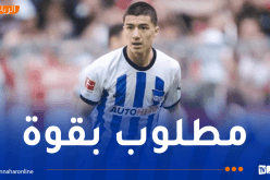مازة يدخل اهتمامات نيوكاسل