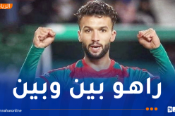 مولودية الجزائر توضح بخصوص إمكانية مشاركة نعيجي في مواجهة نجم مقرة