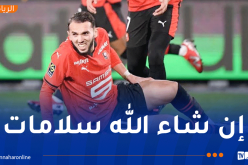 غويري يتلقى أنباء سارة بعد إصابته في مواجهة أنجي