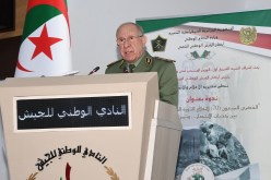 الفريق أول شنقريحة: ثورة أول نوفمبر كانت من أجل الحق وضد الظلم والطغيان