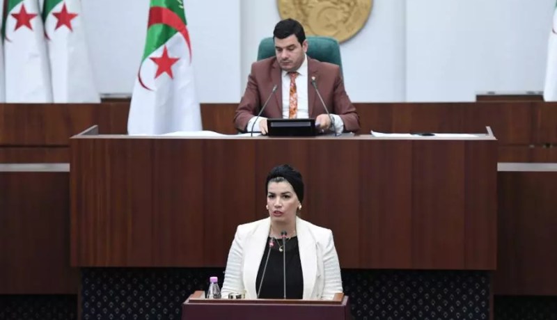 النُواب يصادقون على مشروع قانون حماية ذوي الاحتياجات الخاصة