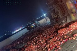 قسنطينة.. انقلاب شاحنة محملة بالبصل في شلغوم العيد