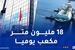 حشيشي: لن يكون هناك نقص في الإمدادات بالغاز الطبيعي محليا ودوليا