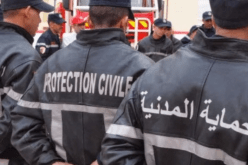 تقلبات جوية.. سقوط شجرة على سيارتين بالعاصمة وانهيار جزئي لسقف غرفة بالبويرة