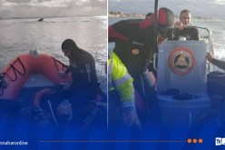 العاصمة .. إنقاذ شخصين في عرض البحر بـ شاطئ الجزائر