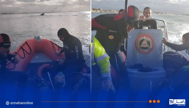العاصمة .. إنقاذ شخصين في عرض البحر بـ شاطئ الجزائر