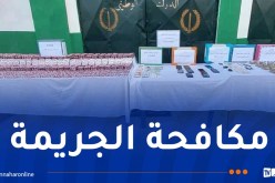 تيزي وزو: تفكيك شبكة لترويج المخدرات والمهلوسات وحجز 14 ألف قرص