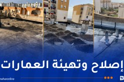 مشروع جديد لإصلاح كتامة الأسطح ومنع تسرب المياه والرطوبة في سكنات عدل