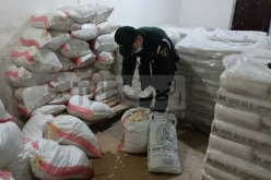 المسيلة: تفكيك شبكة مضاربة وحجز 120 قنطاراً من الذرة والصوجا