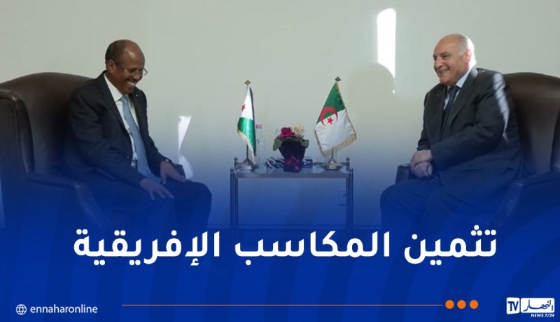 وزير الخارجية يتحادث مع نظيره الجيبوتي