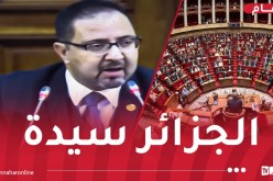 مجلس الأمة يستهجن التدخلات السافرة للبرلمان الأوروبي في الشؤون الداخلية للجزائر