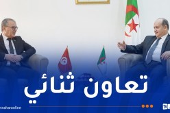 صناعة.. تشكيل فريق عمل لتحديد مجالات التعاون والشراكة بين الجزائر وتونس