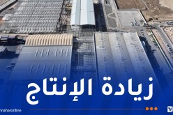 توسيع مصنع طفراوي لزيادة إنتاج سيارات فيات بالجزائر