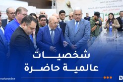 بوغالي يشارك في فعاليات ملتقى دولي حول الأمير عبد القادر