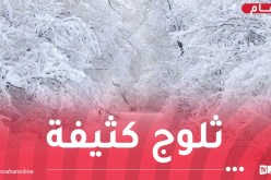 يصل سمكها لـ10 سم.. ثلوج كثيفة على هذه الولايات