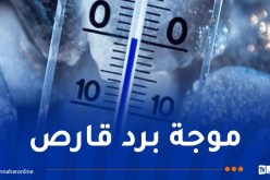 حذار.. 4 درجات تحت الصفر.. صقيع وتشكّل الجليد غدا