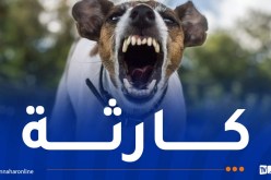 باتنة: كلب ينهش جسد 3 أطفال بكشيدة