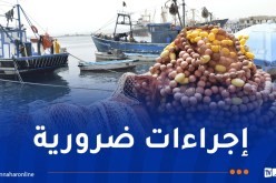 صيد بحري.. جهاز للتقاعد والحماية الاجتماعية لمهنيي القطاع