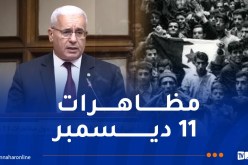 بوغالي: المظاهرات الشعبية أكدت تلاحم الشعب الجزائري وتجنده وراء قيادته
