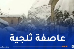 موجة صقيع قادمة من سبيريا.. 30 مدينة درجات الحرارة بها تحت الصفر