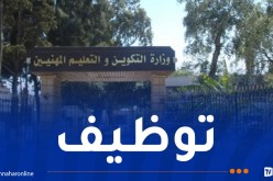 وزير التكوين يبحث عن كفاءات متميزة للعمل معه
