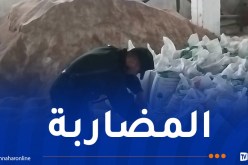 درك معسكر يعثر على كمية كبيرة من الشعير والنخالة مخبأة بمستودع