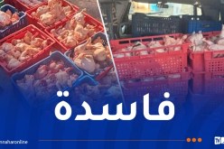 غليزان: حجز وإتلاف 3 قناطير من الدجاج الفاسد