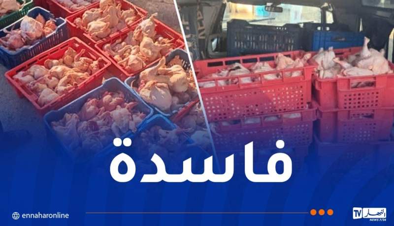 غليزان: حجز وإتلاف 3 قناطير من الدجاج الفاسد