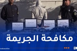 عنابة: حجز 5.4 كلغ من المرجان الخام بسيدي سالم