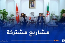 رخروخ يبحث تعزيز الشراكة بين الجزائر وتونس في الأشغال العمومية