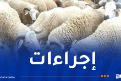 وزير الفلاحة يحسم الجدل.. هذه أسباب منع دخول المواشي للجنوب