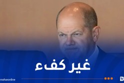 بعد عملية ماغدبورغ.. إيلون ماسك يطالب مستشار ألمانيا بالاستقالة