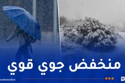 برودة شديدة.. أمطار غزيرة وثلوج كثيفة بهذه الولايات بداية من الإثنين