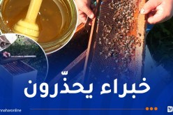 نقص المناطق الرعوية للنحل يهدد جودة العسل ووفرته بالجزائر !