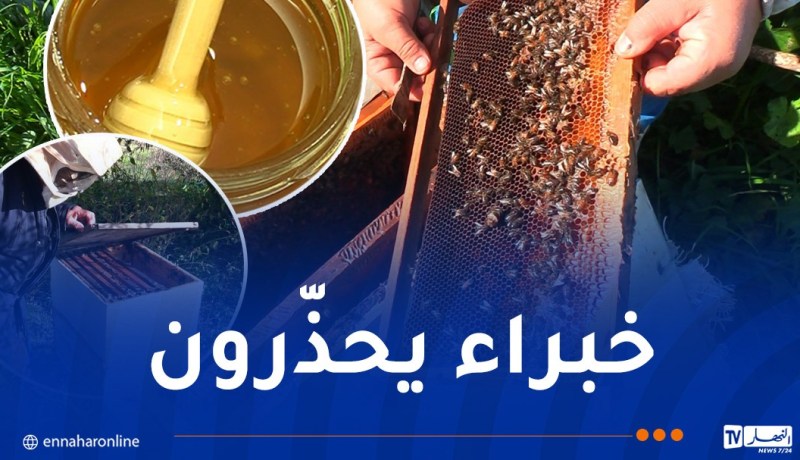 نقص المناطق الرعوية للنحل يهدد جودة العسل ووفرته بالجزائر !