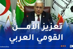 بوغالي يدعو لتحصين البلدان العربية من تداعيات صراعات القوى الكبرى