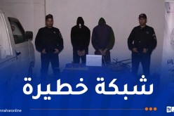 الإطاحة بشبكة إجرامية لسرقة الكوابل النحاسية بالحراش