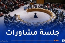 مجلس الأمن يعقد جلسة حول الوضع في سوريا