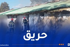 نفوق 2000 صوص في حريق مستودع بالمدية