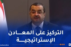 عرقاب: تطوير الصناعة الوطنية لا يمكن أن يتم إلا بالمواد المحلية