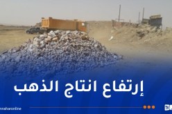 قريبا.. إعادة بعث منجمي الذهب لتيراك وأمسميسا بتمنراست