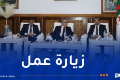 برئاسة عرقاب.. وفد وزاري يحل بوهران لتفقد عدد من المشاريع