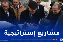 الجلفة: إنجاز صومعة بسعة تخزين 100 ألف طن و6 غابات استجمام