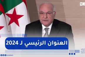 عطاف: عام 2024 كان عنوانه تقوية انتشار الدبلوماسية الجزائرية وتعزيز مكانتها إقليميا ودوليا