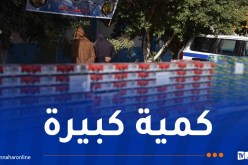 عين الدفلى.. ضبط 192 ألف كيس شمة مقلدة ومجهولة المصدر