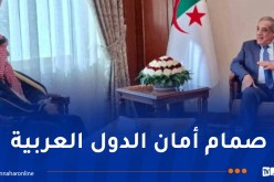 الجزائر والسعودية يناقشان الأوضاع في سوريا وفلسطين