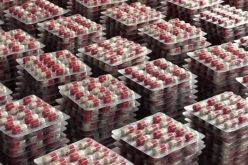 تبسة: توقيف شبكة إجرامية وضبط أكثر من 160 ألف قرص مهلوس وكمية معتبرة من المخدرات