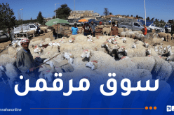 سوق للمواشي بـ 3 أطراف.. مسجلين عبر منصة رقمية