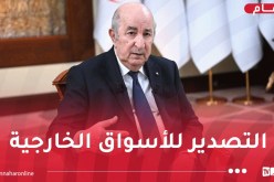 الرئيس تبون يستمع إلى تفاصيل المشاريع الاستثمارية