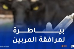لقاءات تحسيسية لفائدة المربين ضد مرض الجلد العقدي المعدي للأبقار